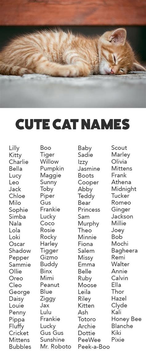 cute names for cats unisex